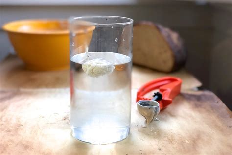 sourdough starter drop test|how to measure sourdough starter.